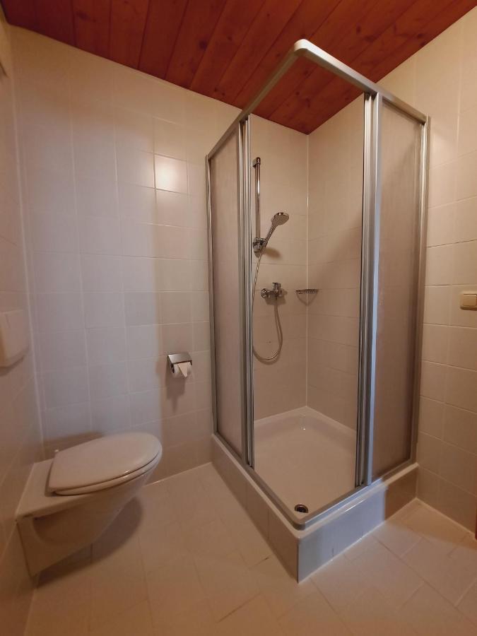 Ferienwohnung Erhart Scheffau شيفو أم فيلدن كايزر المظهر الخارجي الصورة